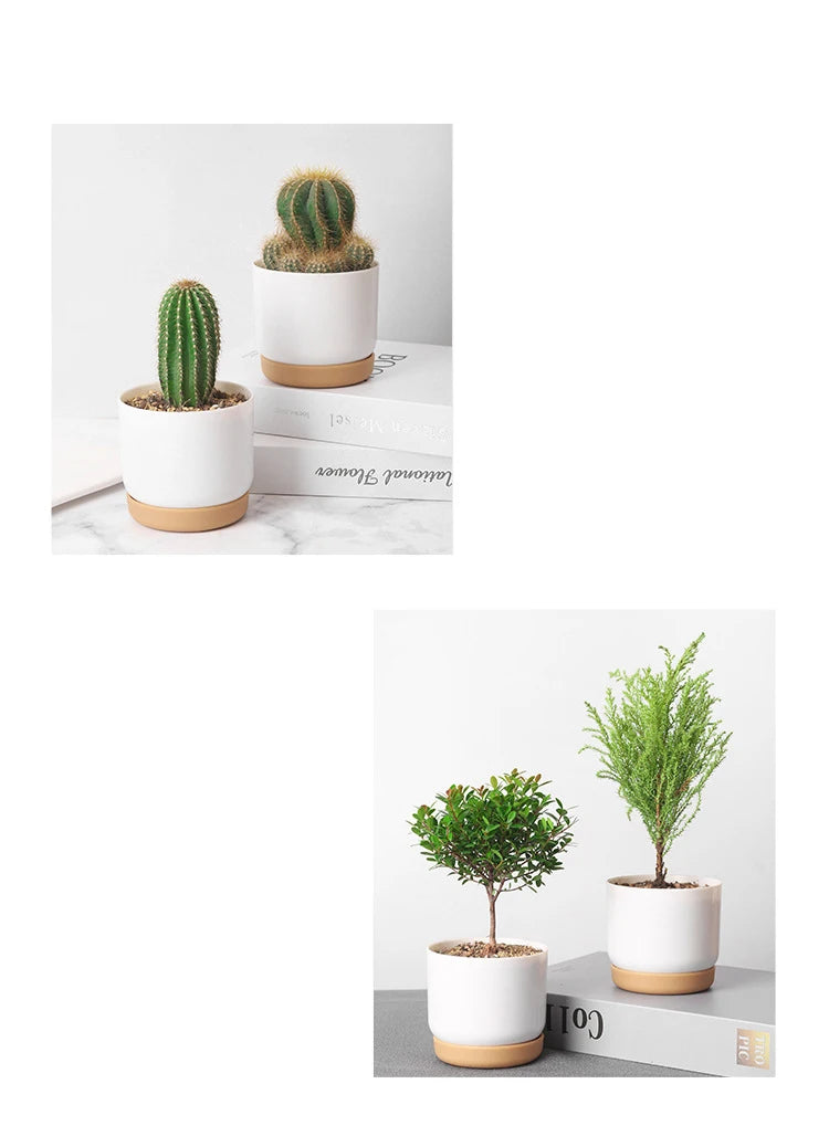 Double-Layer Flower Pot