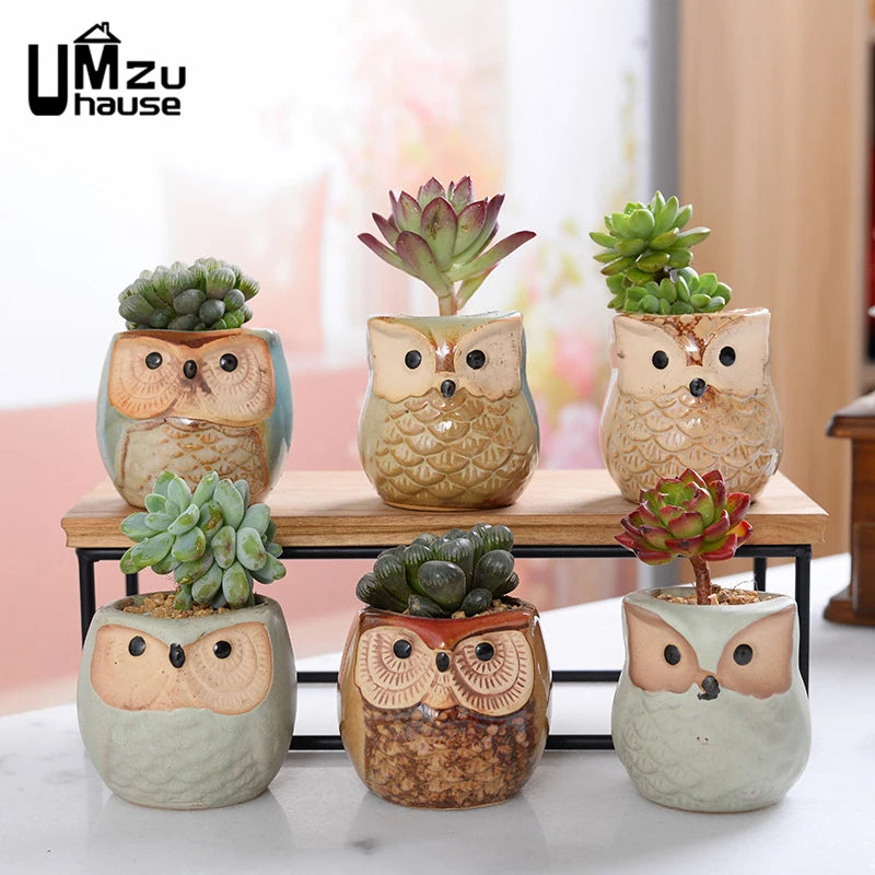 Mini Owl Flower Pot