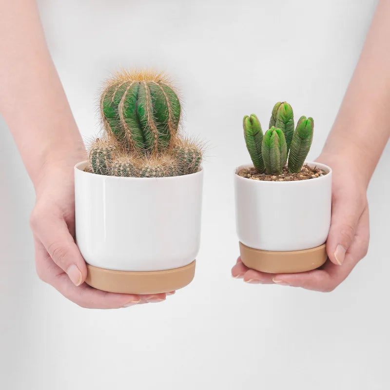 Double-Layer Flower Pot