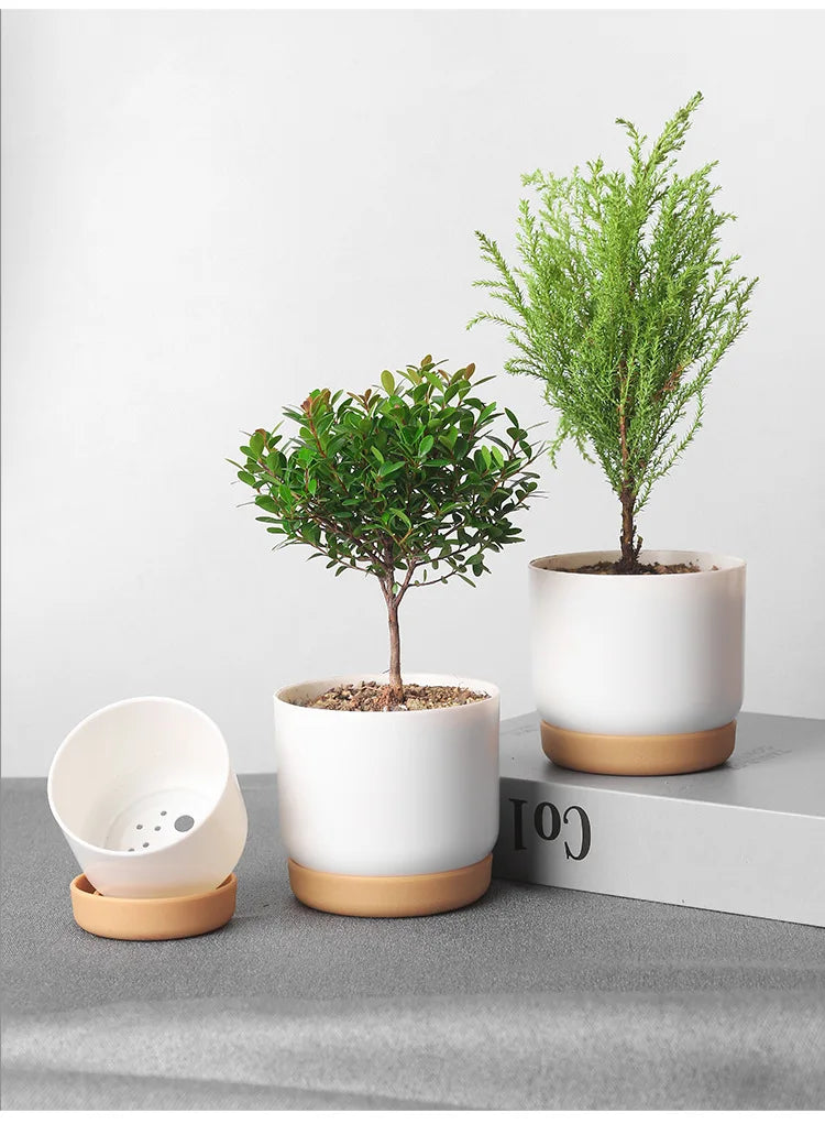 Double-Layer Flower Pot
