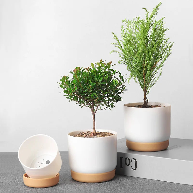 Double-Layer Flower Pot