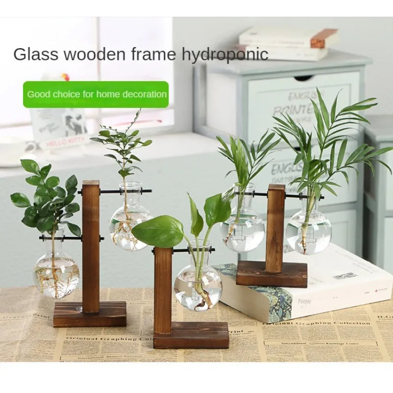 Terrarium Hydroponic Plant Vases