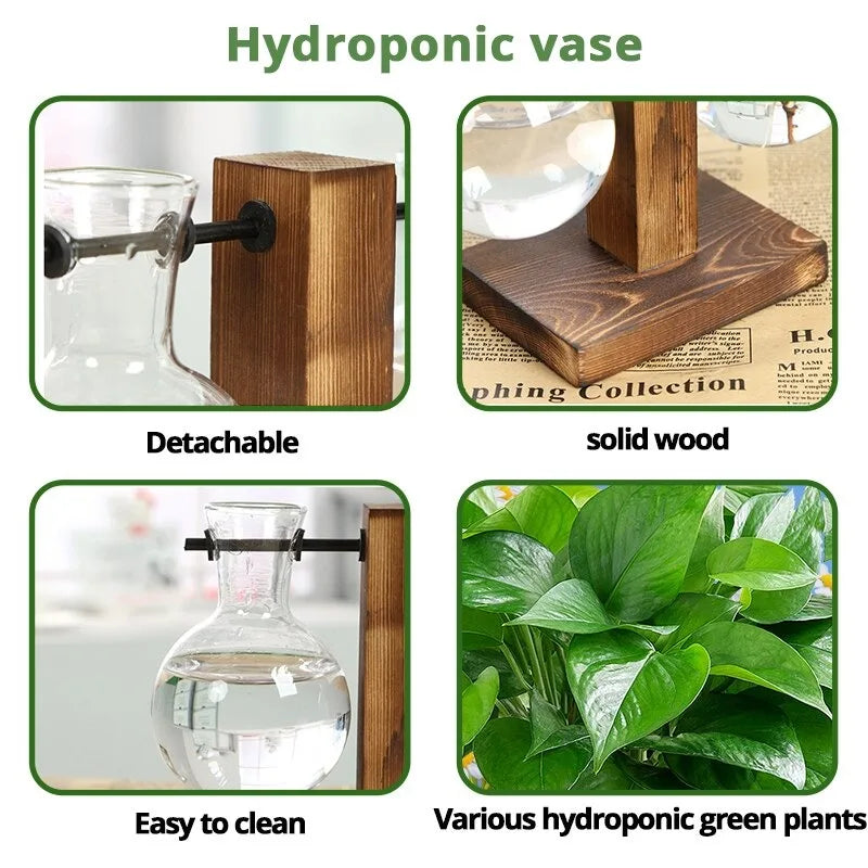 Terrarium Hydroponic Plant Vases