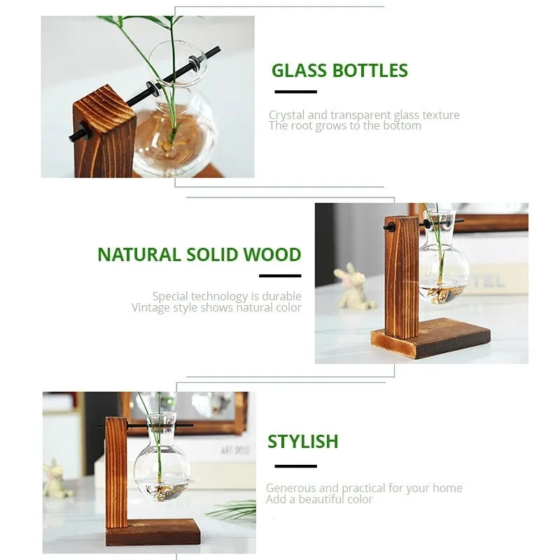 Terrarium Hydroponic Plant Vases