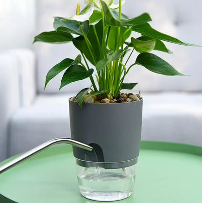 Transparent Double Layer Plastic Flower Pot